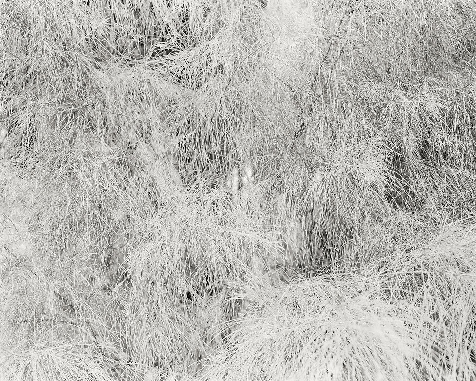 被覆蓋的遠方_Covered distance_copy.jpg