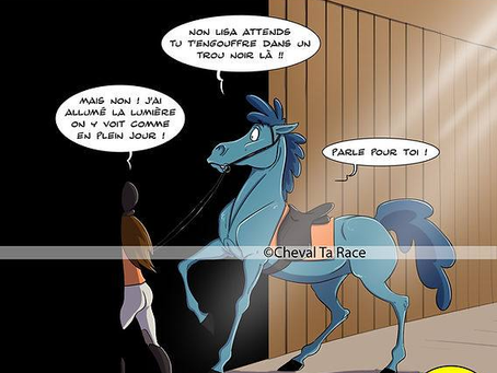 𝗠𝗜𝗘𝗨𝗫 𝗖𝗢𝗡𝗡𝗔𝗜𝗧𝗥𝗘 𝗦𝗢𝗡 𝗖𝗛𝗘𝗩𝗔𝗟 - 𝙇𝙖 𝙑𝙪𝙚