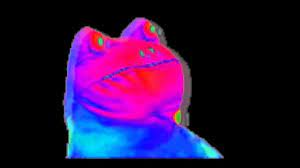 ree