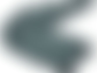 Universal Absorbent Socks