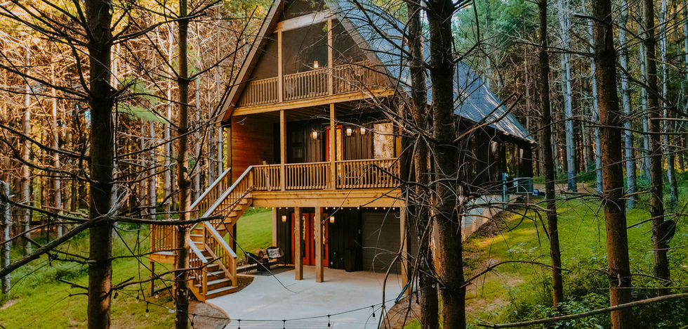 The back of the Carpenter's Cabin, forest, and hot tub