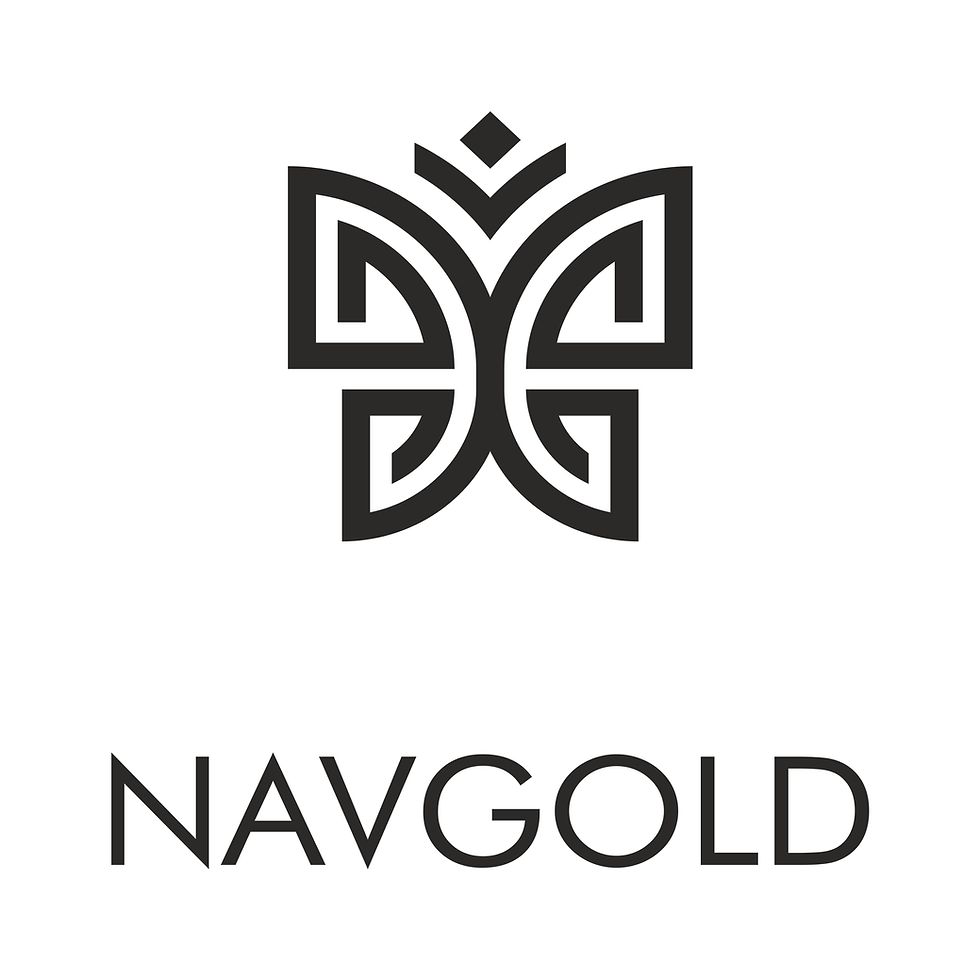 NAVGOLD LOGO (2).png