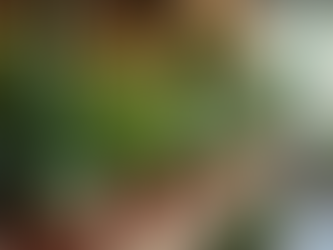 בוטיק גינות בתל אביב: מה הופך את זה למיוחד?