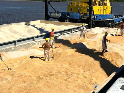 INCREMENTO RÉCORD EN COMMODITIES, CUÁNTO APORTÓ EL SECTOR AGROINDUSTRIAL ?