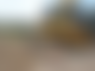 Servicio de red cloacal para todo el ejido urbano.