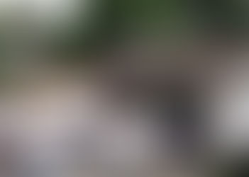 No comenzarán las clases el próximo lunes...