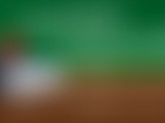 Parent/Teacher Conferences