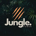 cleanlight logo