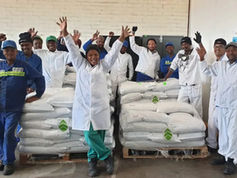 South Africa's Exciting Clean Tech Startups