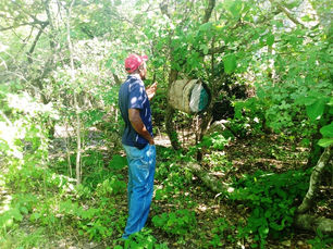 How Zimbabwe Can Leverage Rising Lithium Demand