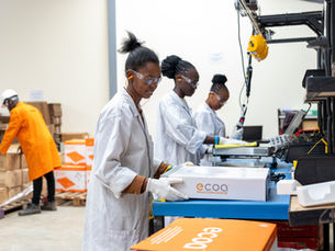 Kenya's Clean Cooking Future