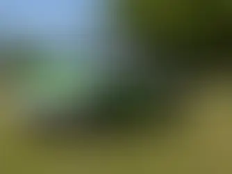 Small Inventors Lead the Charge on EVs in Argentina