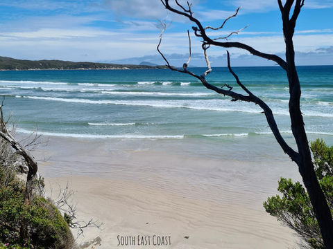 south coast track , south coast