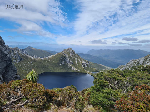 Cushion grass, Tarns and Pencil Pines. Central highlands