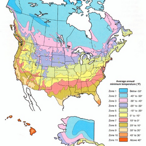 How to start your garden