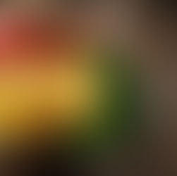 Thousand Herb Spaghetti