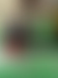 Blanes s’adhereix al Dia Mundial contra el càncer de còlon amb accions de sensibilització