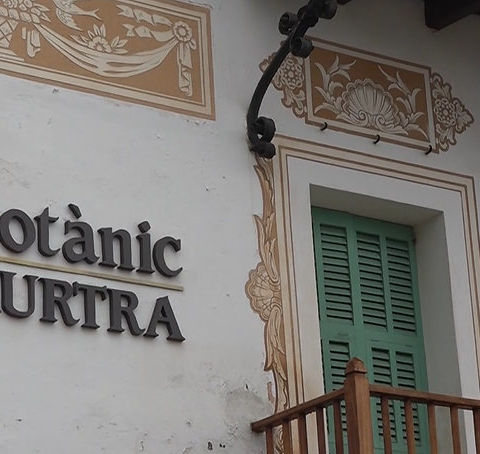 MARIMURTRA i l'AFIC impulsen un voluntariat fotogràfic per documentar el patrimoni vegetal del jardí