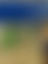 Lloret de Mar referma el seu lideratge en turisme esportiu amb més de 34.000 visitants en només quatre mesos