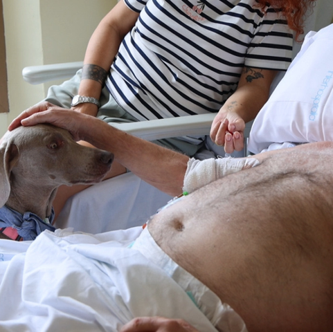 Els hospitals de Blanes i Calella permetran la visita de gossos a pacients de cures pal·liatives