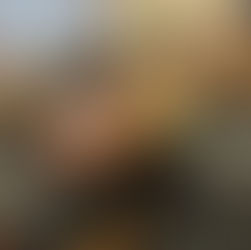 Un pla de xoc contra els robatoris als camps de conreu del Delta de la Tordera marcarà l'agenda 2026