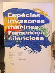 Blanes acull una exposició del CEAB sobre les espècies invasores marines a la Casa Saladrigas