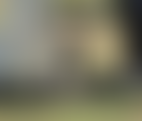 Caldes de Malavella celebra amb èxit una nova edició de la Fira de la Terra