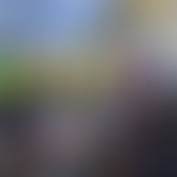 Blanes acomiadarà l'any 2025 amb una gran Festa Infantil de Cap d'Any a la Fira EnNadala't