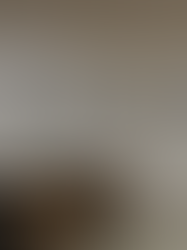 Sant Julià del Llor i Bonmatí reforça l’activitat cultural amb poesia i un concurs de pintura ràpida