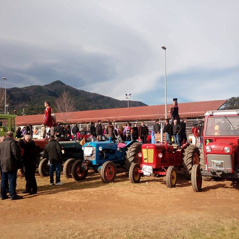 La pluja obliga a suspendre la majoria d’actes de la Fira de Sant Antoni d’Anglès