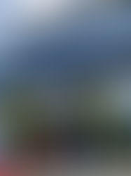 Nylstar reprèn la producció a la planta de Blanes i es presenta oficialment davant dels mitjans