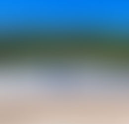 HIPRA encapçala el desenvolupament d’una vacuna contra la Pesta Porcina Africana, amb assajos previstos per al 2026