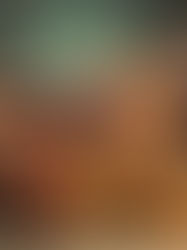 ‘Pastors i Misteris’ torna un any més al Nadal blanenc amb novetats i entrades gairebé exhaurides