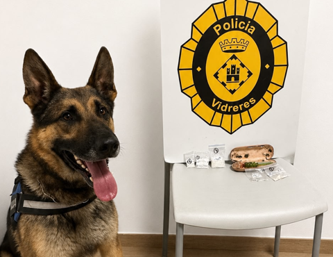 La gossa policia de Vidreres detecta més de 22 grams de metamfetamina i facilita una detenció