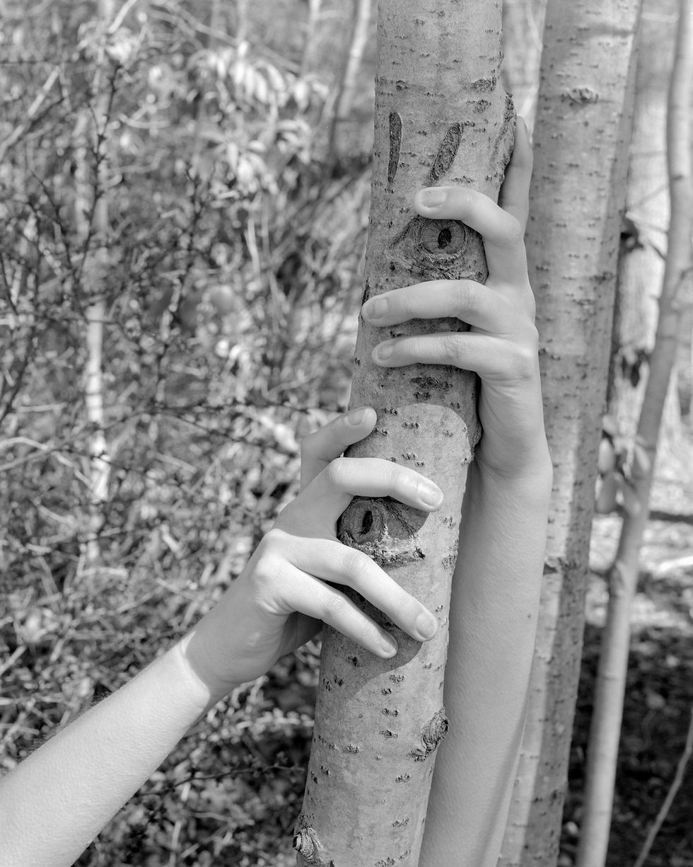 Holiday Show Opening Reception 