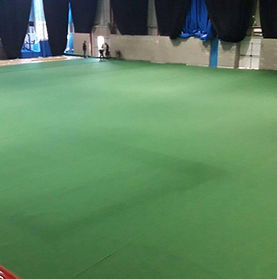 Dog Show 2017