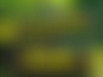 How to Overcome Your Biggest Self-Imposed Fears 