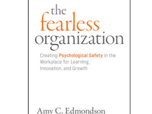 The Fearless Organization: Creating Psychological Safety in the Workplace