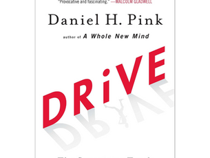 Drive: The Surprising Truth About What Motivates Us