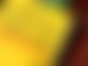 Three Important Traits to Develop Lifelong Learning