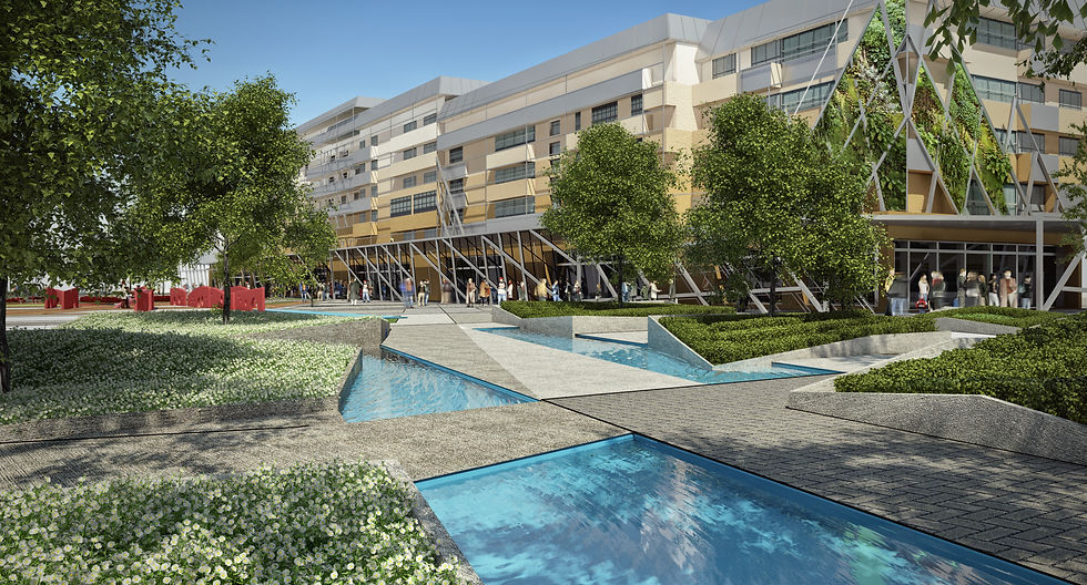 Campina Perspectiva.jpg