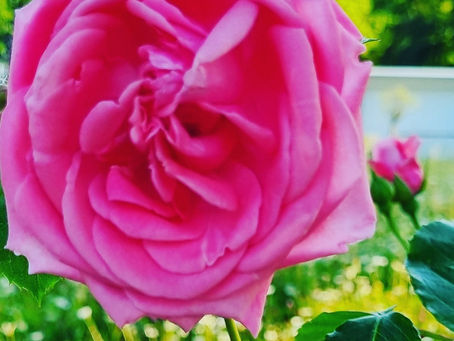 Im Fluss des Lebens....