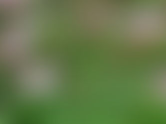 Im Jetzt-Moment gibt es keine Sorgen!