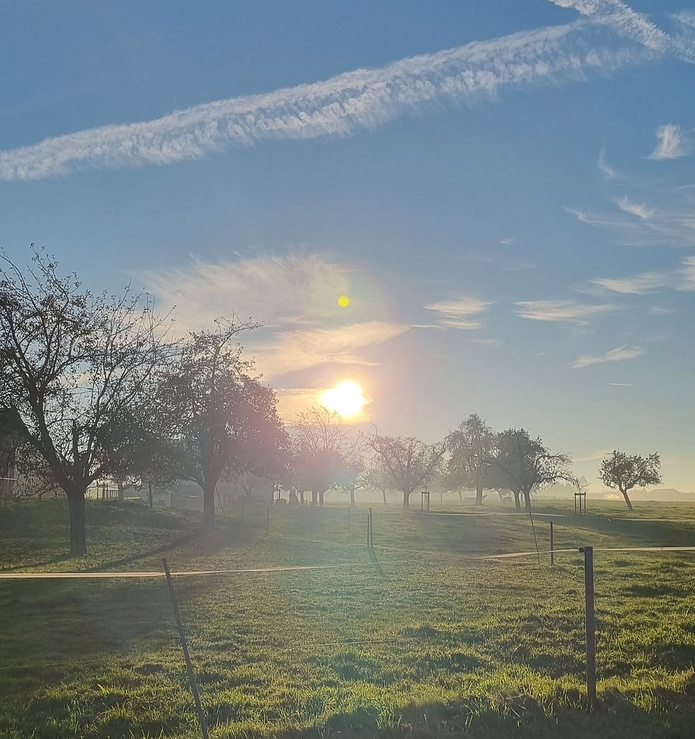 Dein Leben wie Deinen Garten pflegen.