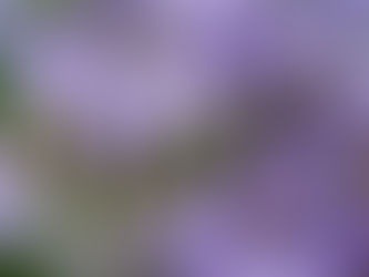 Lass Dich verzaubern!