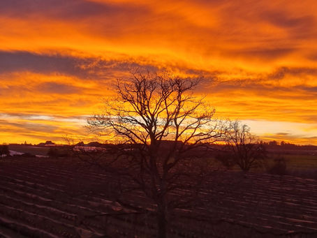 Bade im orangen Licht, damit es in Dir neue Ideen generieren.