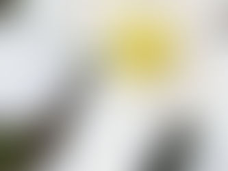 Lebe die Königin, den König in Dir!