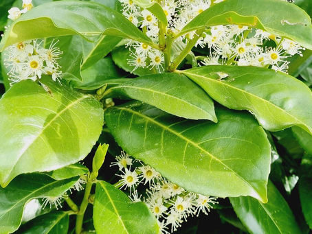 Kreiere das Leben das Dir gefällt!