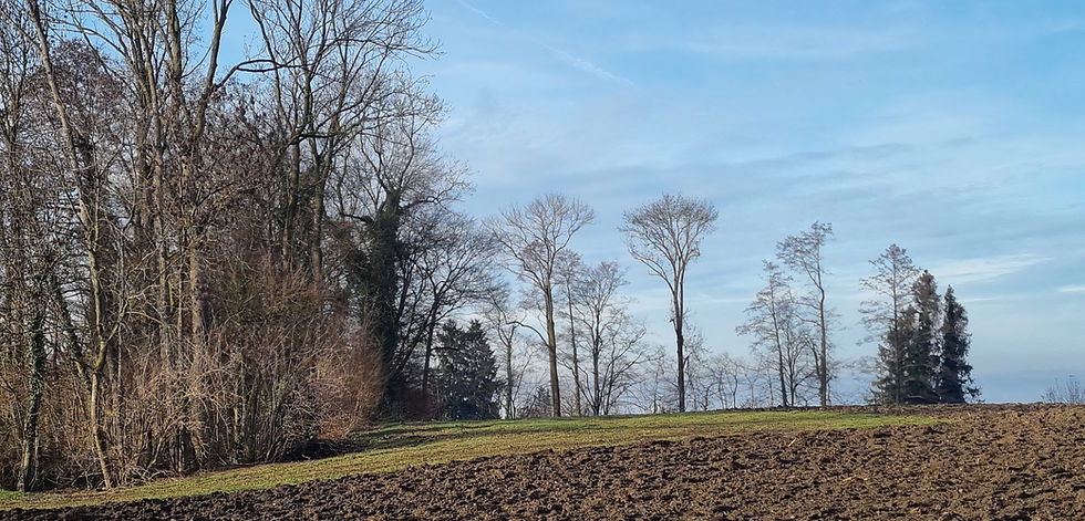 Sprich Deine Wahrheit aus!