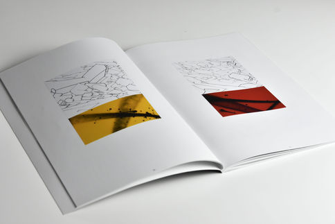 DITNO 83 | TRANSITIONS Solo Show